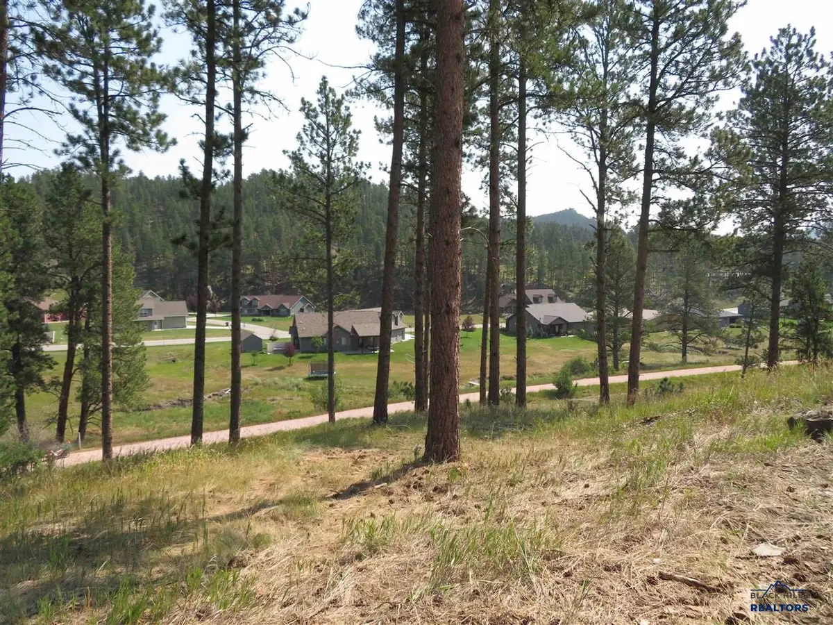 Blk 7 Lot 9, Hill City, SD 57745 - #1