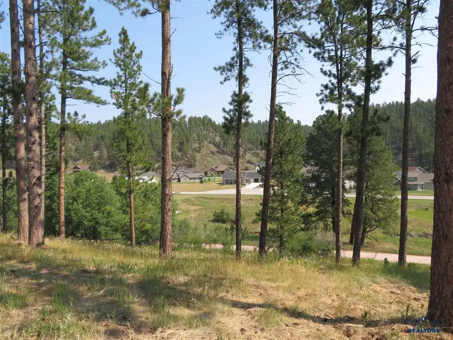 Blk 7 Lot 9, Hill City, SD 57745 - #2