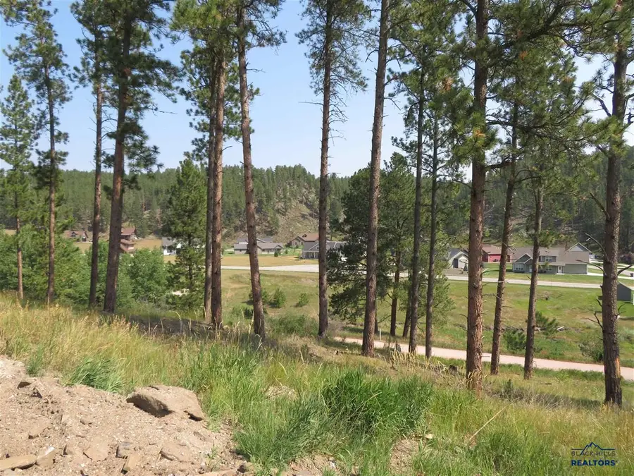 Blk 7 Lot 9, Hill City, SD 57745 - #3