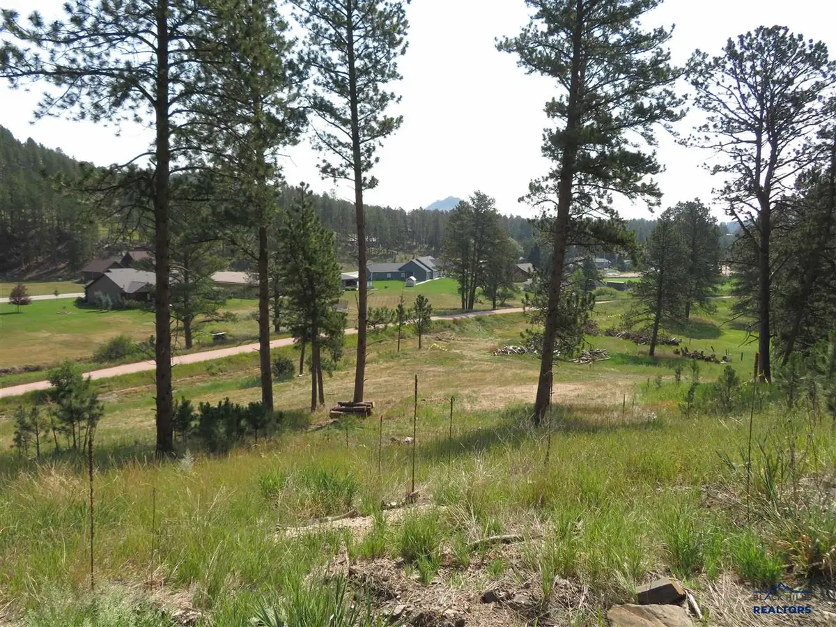 Blk 7 Lot 10, Hill City, SD 57745 - #1