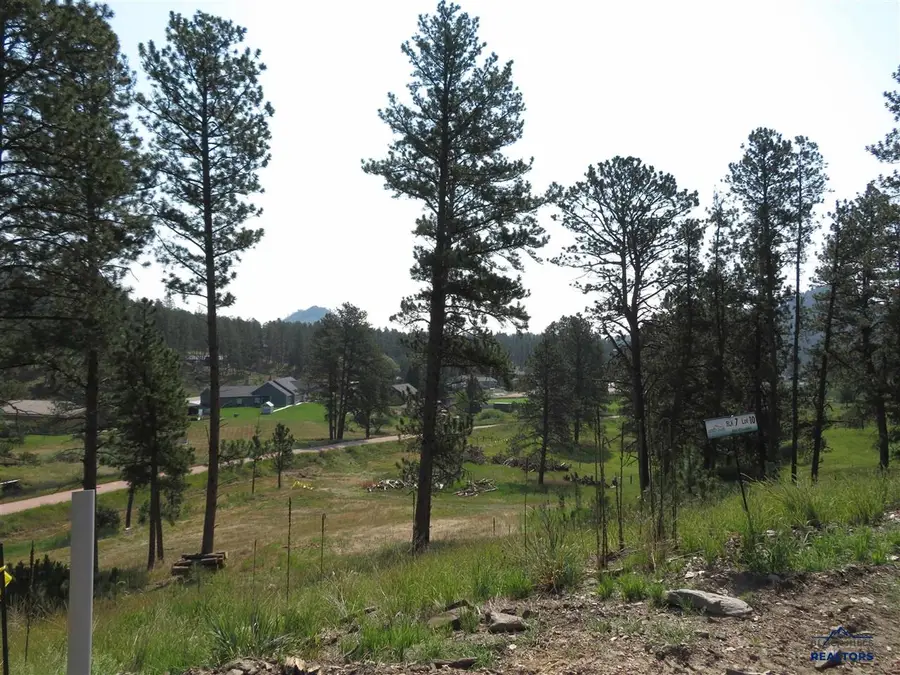 Blk 7 Lot 10, Hill City, SD 57745 - #2
