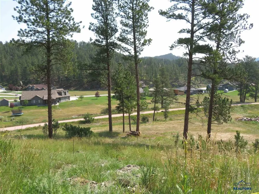 Blk 7 Lot 10, Hill City, SD 57745 - #3
