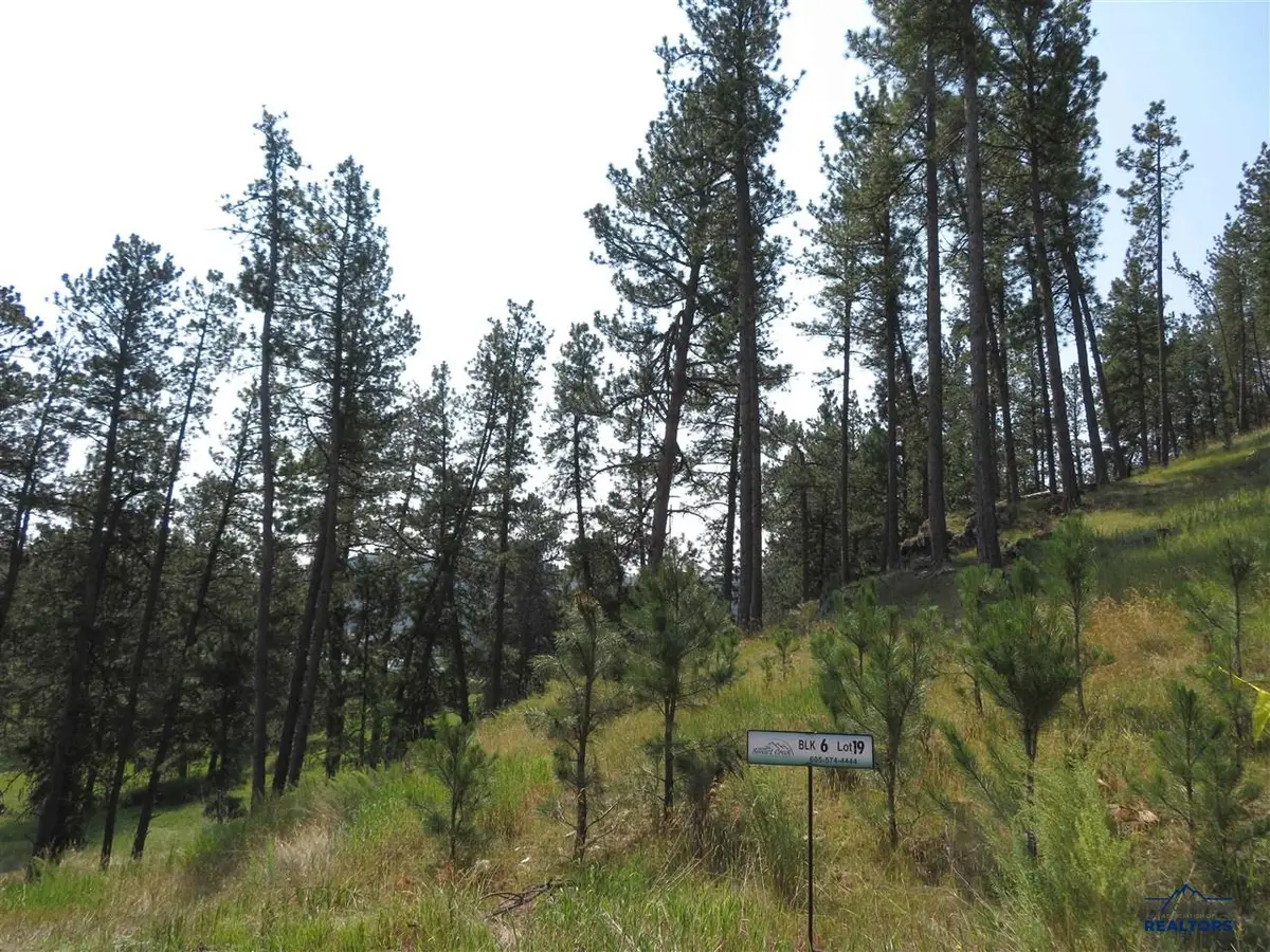 Blk 6 Lot 19, Hill City, SD 57745 - #1