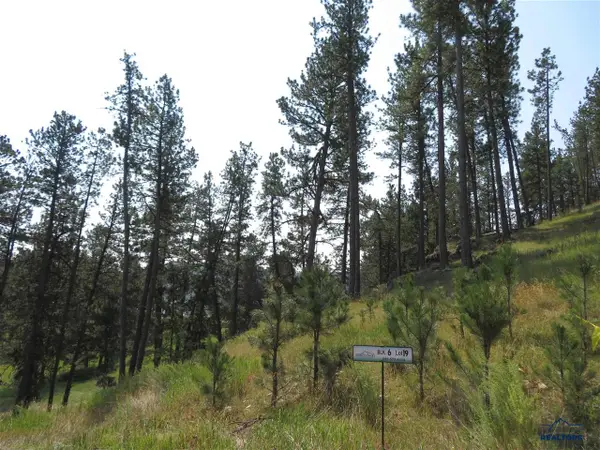 Blk 6 Lot 19, Hill City, SD 57745
