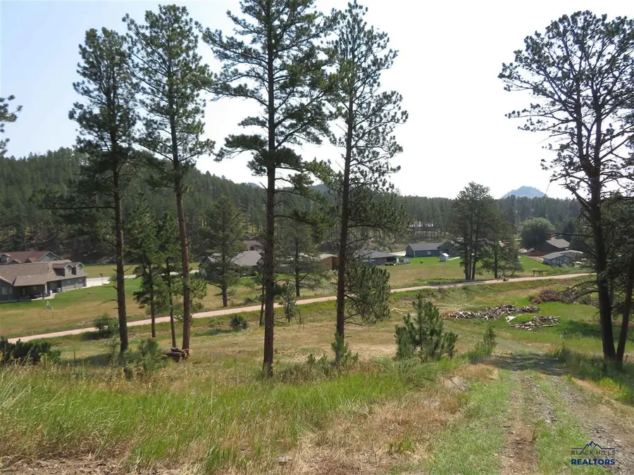 Blk 6 Lot 19, Hill City, SD 57745 - #2
