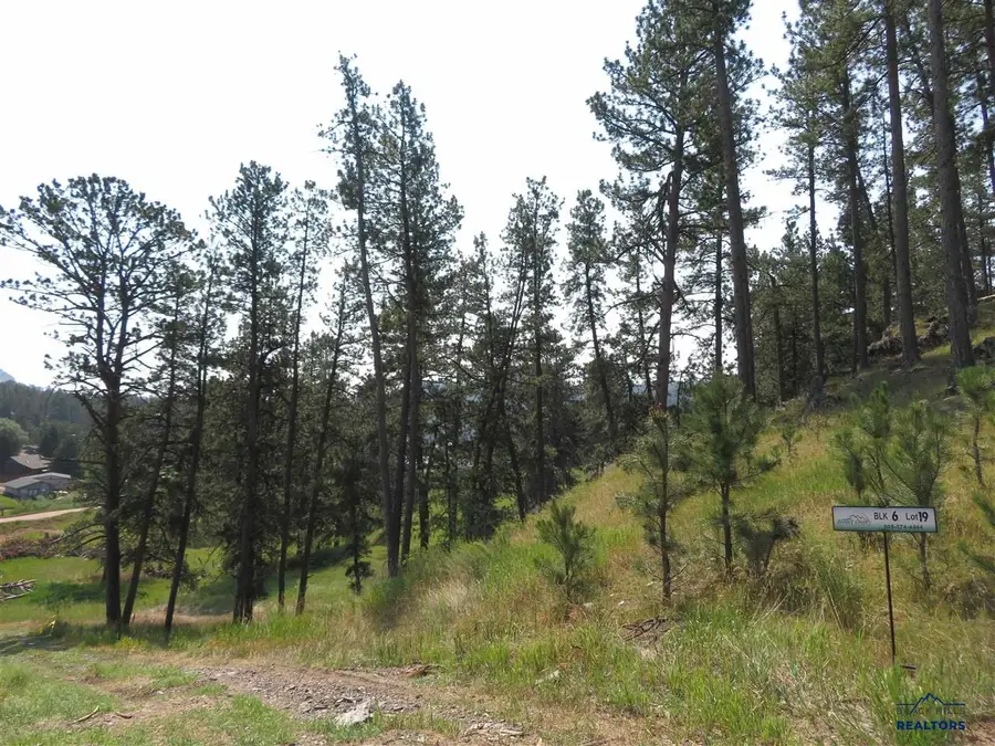 Blk 6 Lot 19, Hill City, SD 57745 - #3