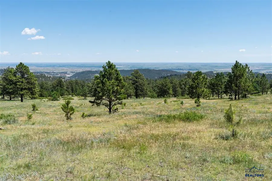 Lot 15A Joy Drive, Hot Springs, SD 57747 - #3