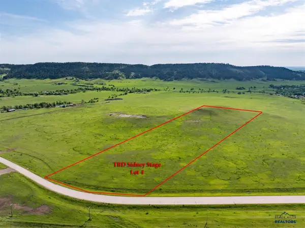 Lot 4 Sidney Stage Rd, Piedmont, SD 57769