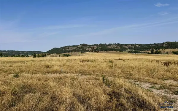 Tract 4 Painted Horse Road, Hulett, WY 82720