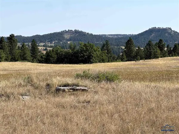 Tract 8 Painted Horse Road, Hulett, WY 82720