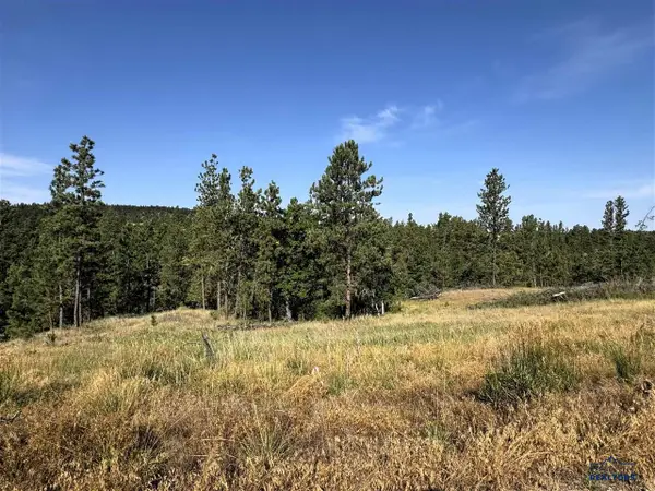 Tract 12 Black Bear Road, Hulett, WY 82720