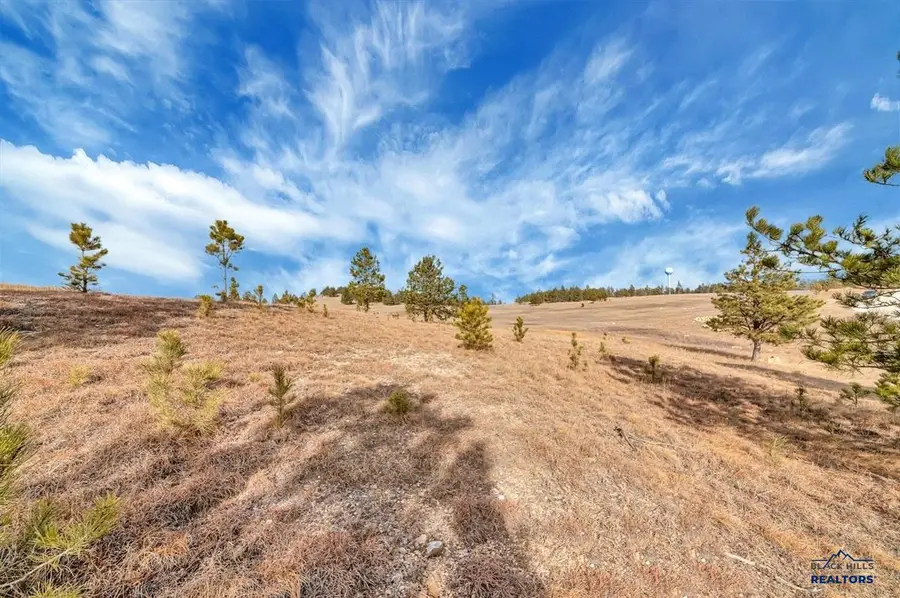 Lot 10 Lonesome Dove Street, Custer, SD 57730 - #2