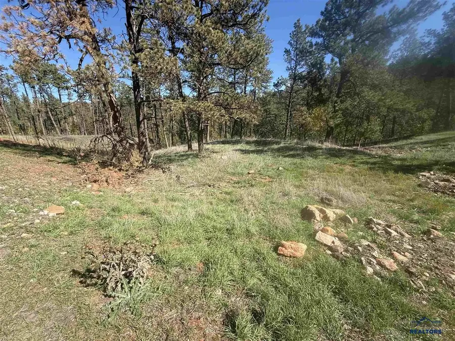 5304 Wind River Rd, Rapid City, SD 57702 - #3