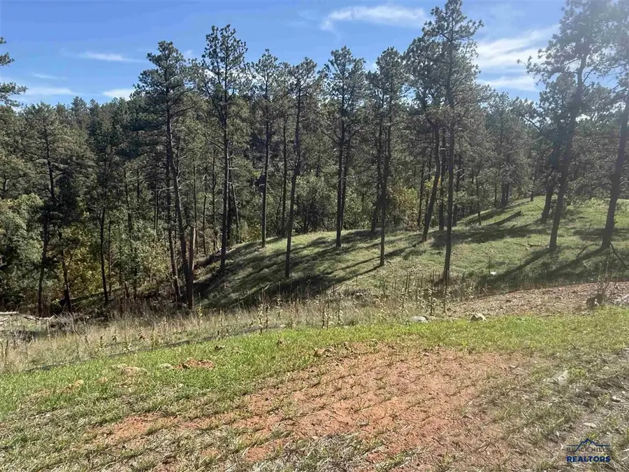 5224 Wind River Rd, Rapid City, SD 57702 - #2