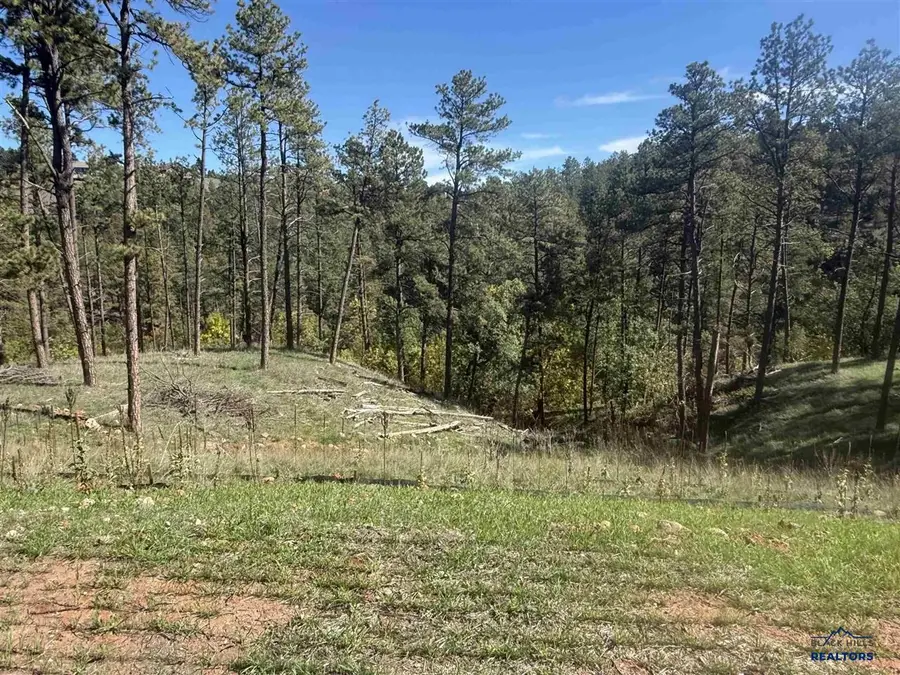 5224 Wind River Rd, Rapid City, SD 57702 - #3