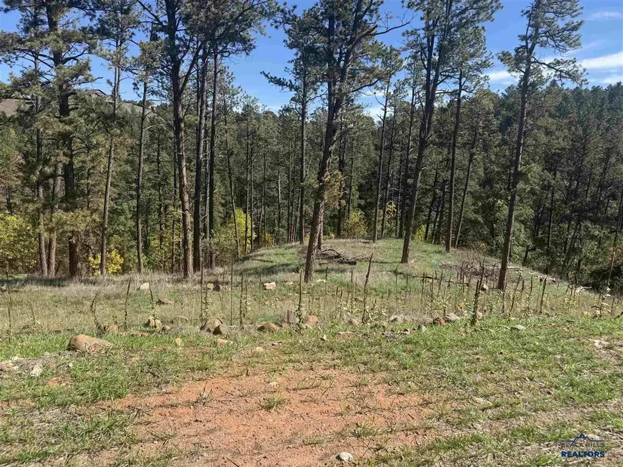 5212 Wind River Rd, Rapid City, SD 57702 - #3