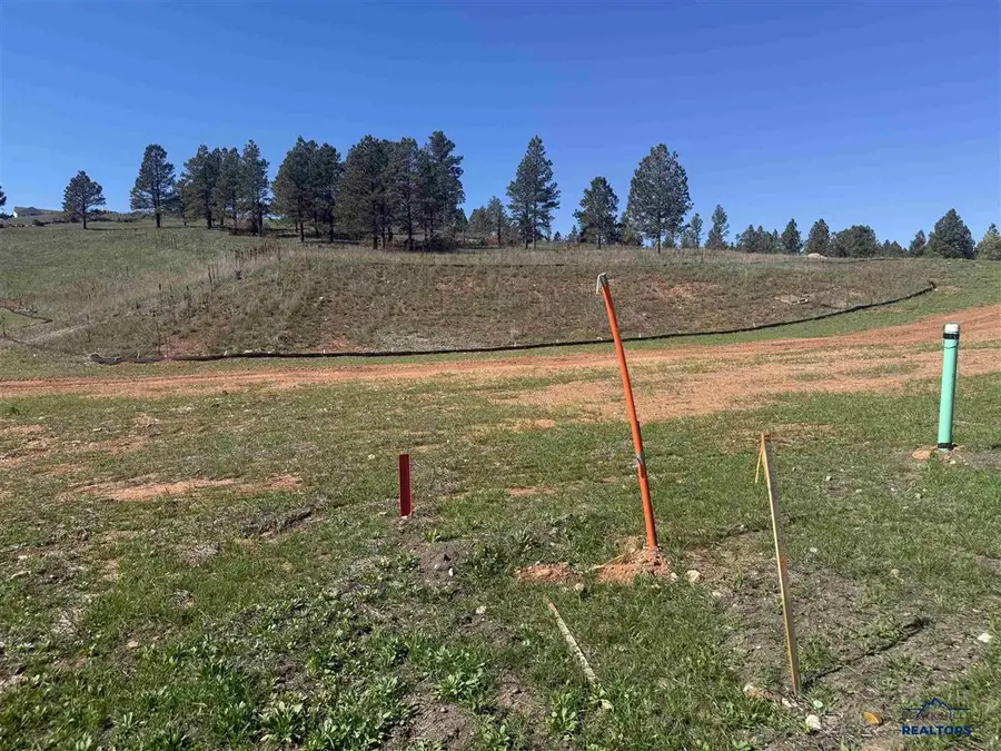 5305 Wind River Rd, Rapid City, SD 57702 - #3