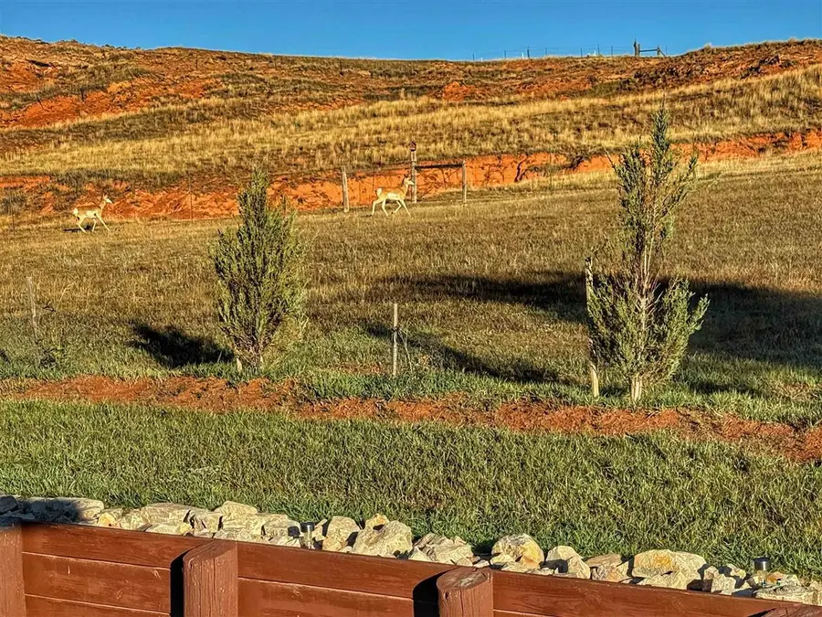 23 Clark Road, Sundance, WY 82729 - #3