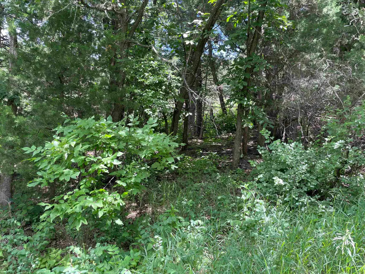 TBD Crooked Oaks, Crofton, NE 68730 - Image #1