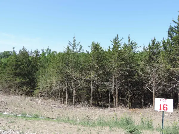 Lot 16 Beltrane Drive, Yankton, SD 57078