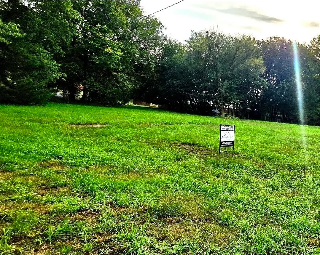 TBD Chestnut, Springfield, SD 57062 - #1