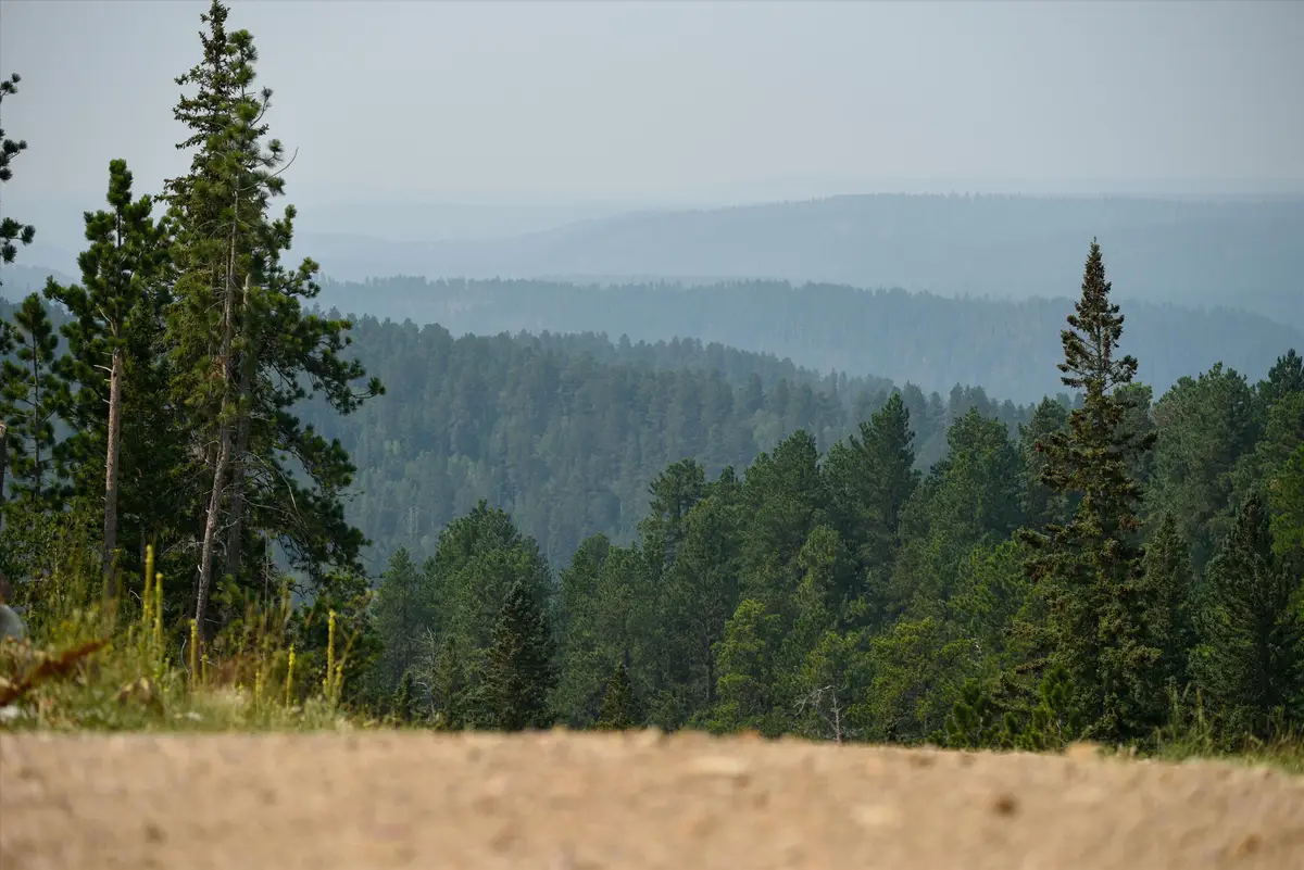 Lot 17 Block 10 Gold Pan Trail, Lead, SD 57754 - Image #1