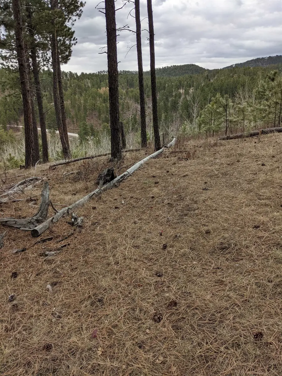 3205 Maitland Road, Spearfish, SD 57783 - Image #3