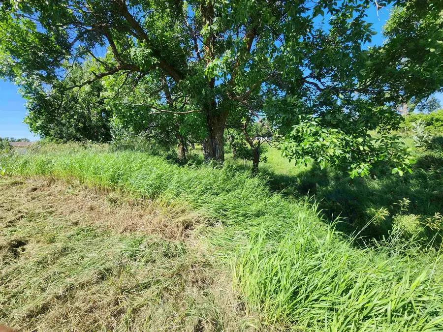 TBD Lot 18 Birnam Wood Lane, Belle Fourche, SD 57717 - Image #3