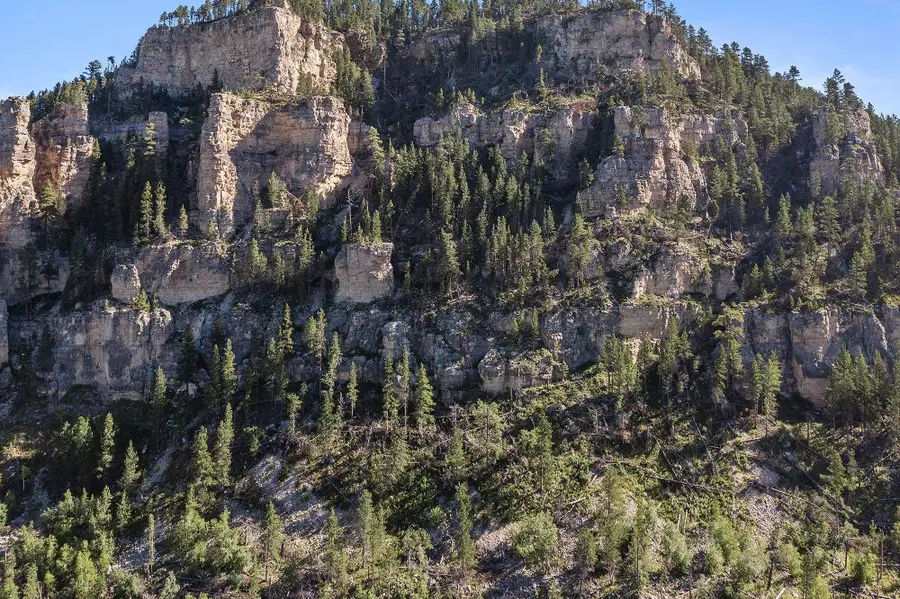 10685 Billie Lane, North Lawrence, SD 57732 - Image #2