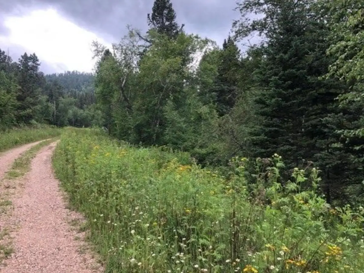 20693 Toboggan Hill Road, Lead, SD 57754 - Image #1