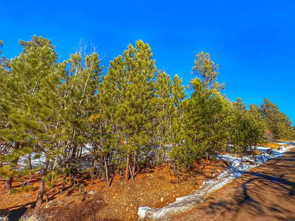 TBD Last Chance Trail, Lead, SD 57754