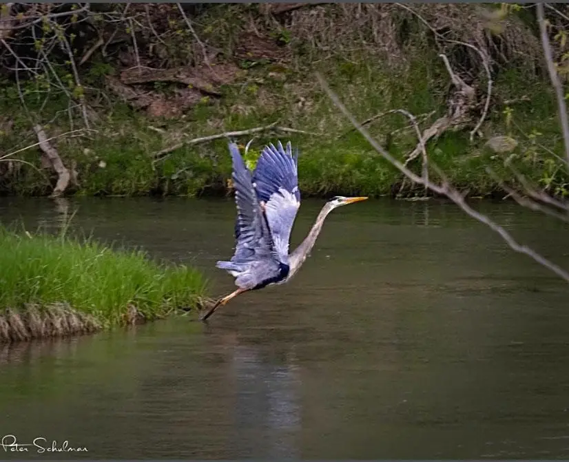 337 Sand Creek Road, Beulah, WY 82712 - Image #2