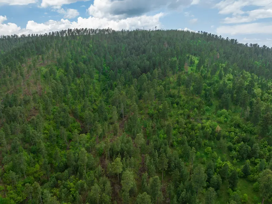 TBD Crook Mountain Road, North Lawrence, SD 57785 - Image #2