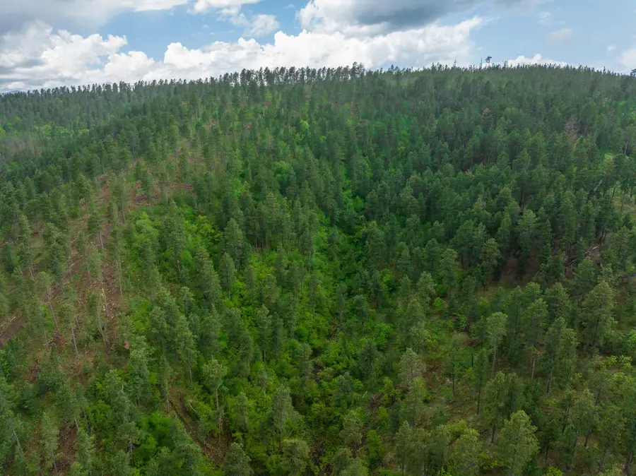 TBD Crook Mountain Road, North Lawrence, SD 57785 - Image #3