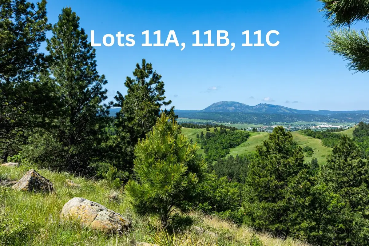 Tract 11A Lookout Vista Road, Spearfish, SD 57783 - Image #1