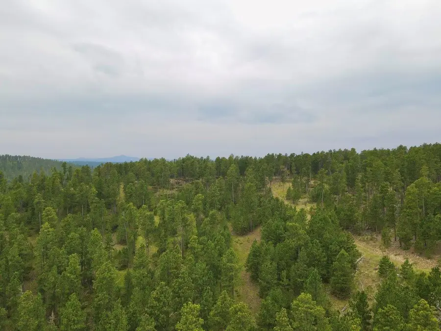 TBD Galena Road, Deadwood, SD 57732 - Image #3