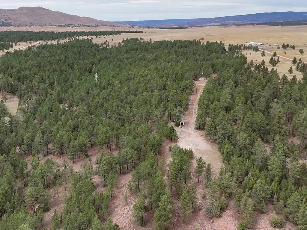 10345 Turkey Trail, Edgemont, SD 57735 - Image #1