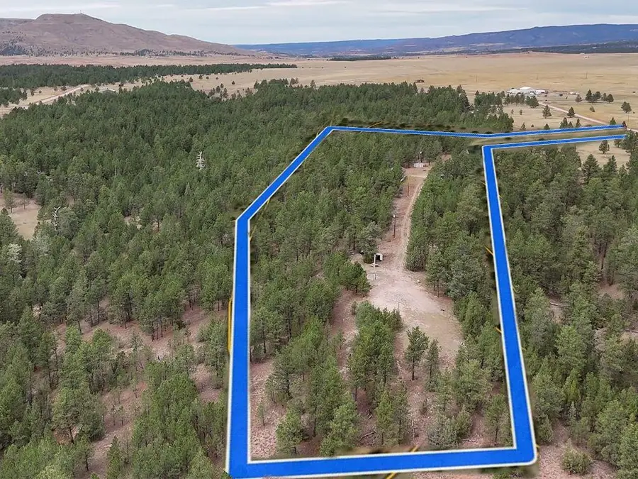 10345 Turkey Trail, Edgemont, SD 57735 - Image #2