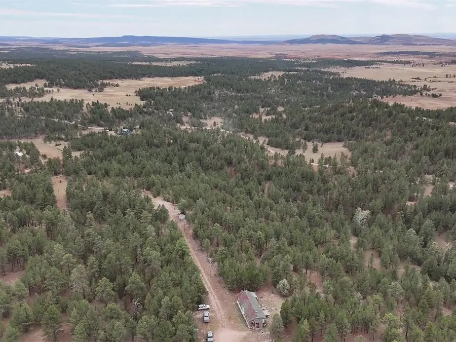 10345 Turkey Trail, Edgemont, SD 57735 - Image #3