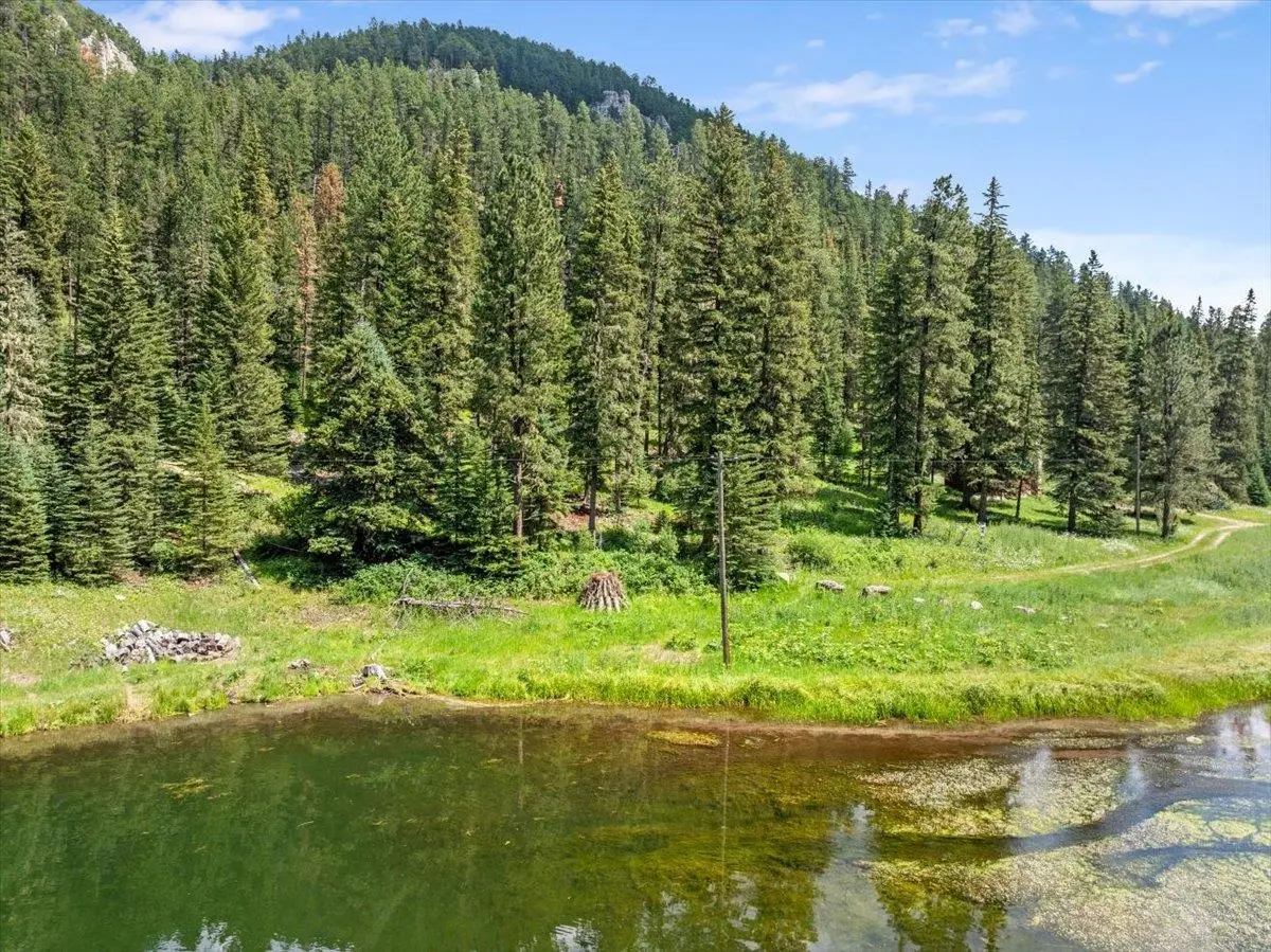 TBD Mossy Pine Loop, Lead, SD 57754 - Image #1