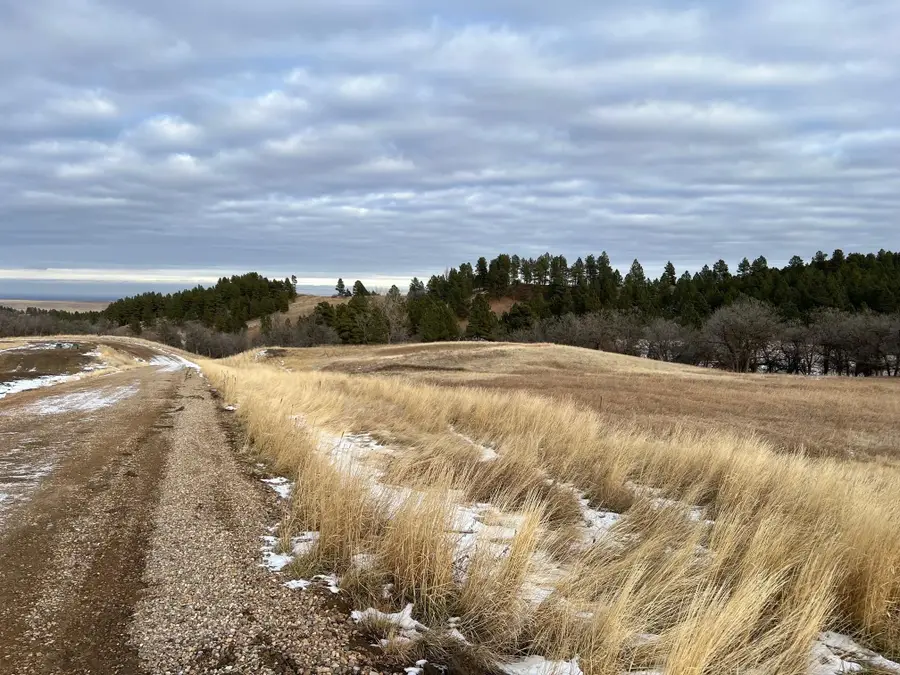 Lot 27 Ponderosa Pass Road, Whitewood, SD 57793 - #3