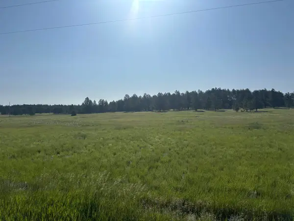 Lot 13 Harriett Ward Road, Custer, SD 57730