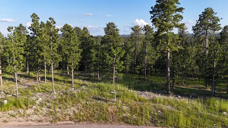 lot 3 block 9 Overlook Pass, Lead, SD 57754 - Image #2