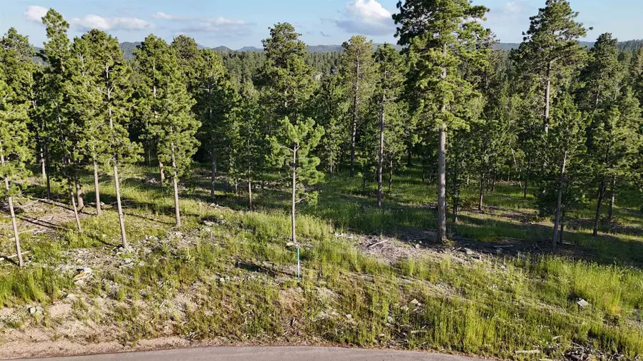 Lot 4 Block 9 Overlook Pass, Lead, SD 57754 - Image #2