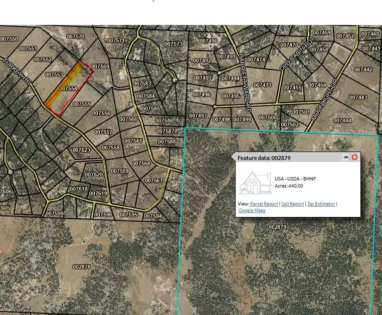 Tr 5 Turkey Trail, Custer, SD 57730 - Image #2