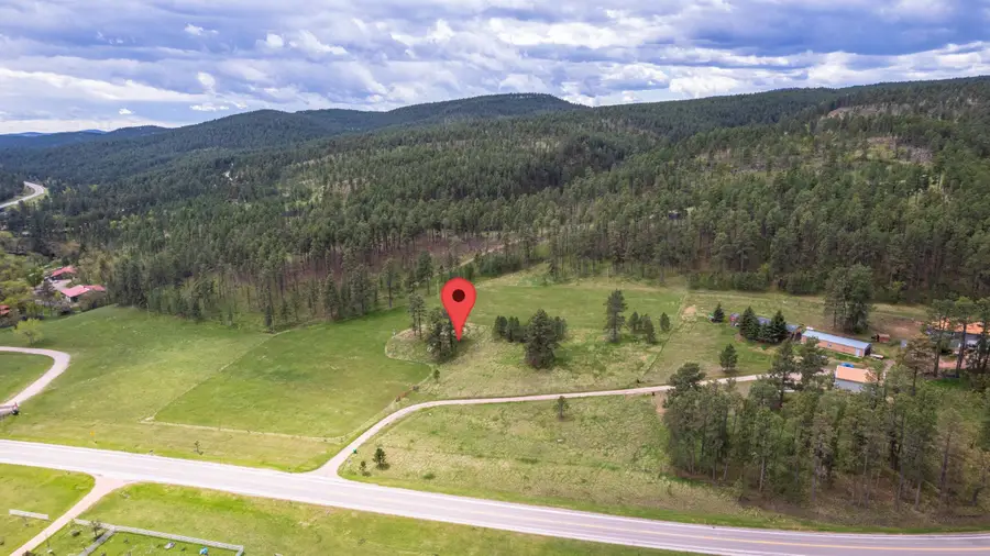 23463 Guyette Road, Keystone, SD 57751 - Image #2