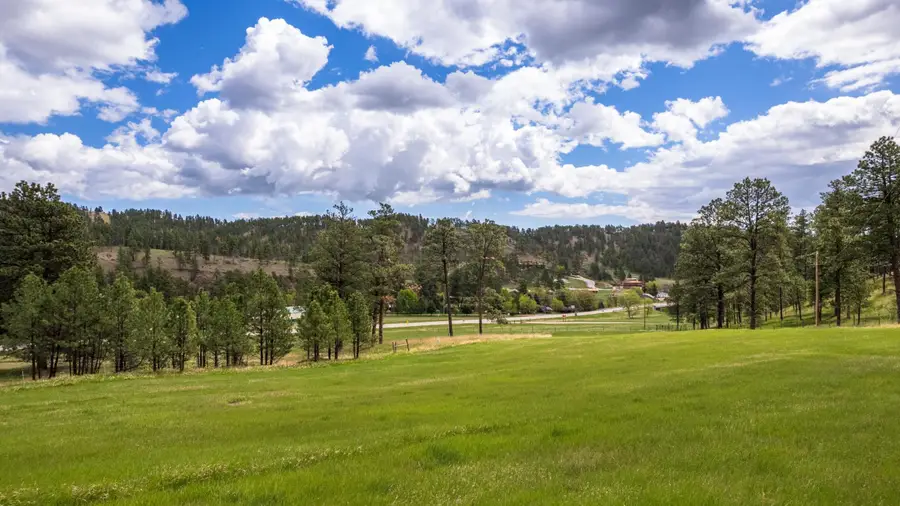 23463 Guyette Road, Keystone, SD 57751 - Image #3