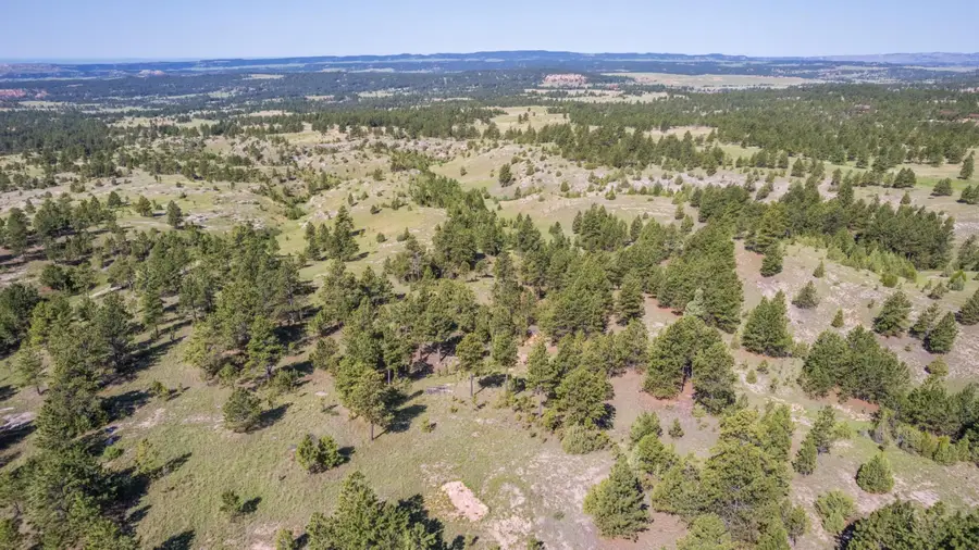 26771 Elk Run Road, West Custer, SD 57747 - Image #3
