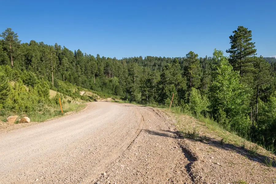 Lot 123 Paradise Gulch Loop, Lead, SD 57754 - Image #2