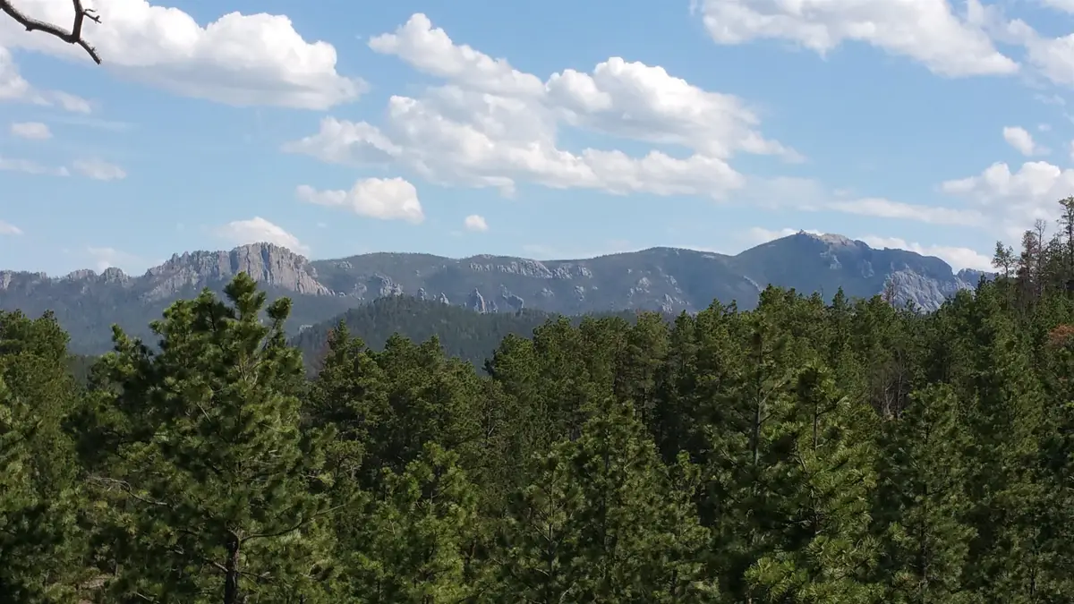 12491 S Tall Pine Road, Hill City, SD 57745 - Image #1